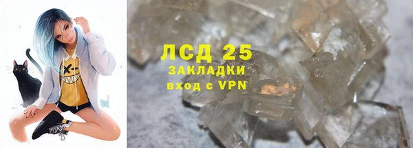 PSILOCYBIN Богородицк