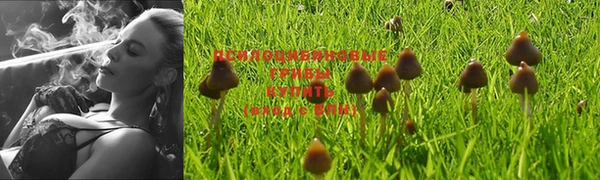 хмурый Богданович
