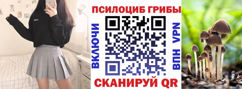Купить где  Мамоново  Псилоцибиновые грибы мицелий 